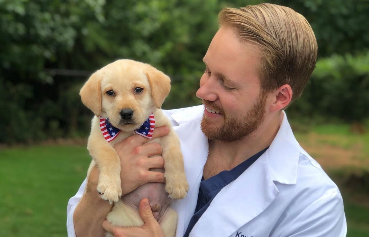 Medical - Vet in Cumming | Creekside Animal Hospital