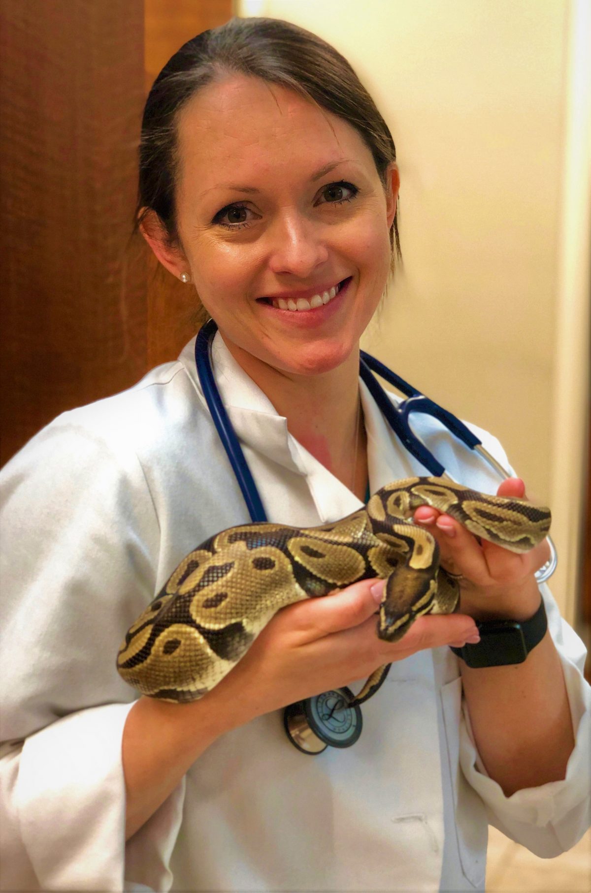 Exotic Pet Care - Vet in Cumming | Creekside Animal Hospital